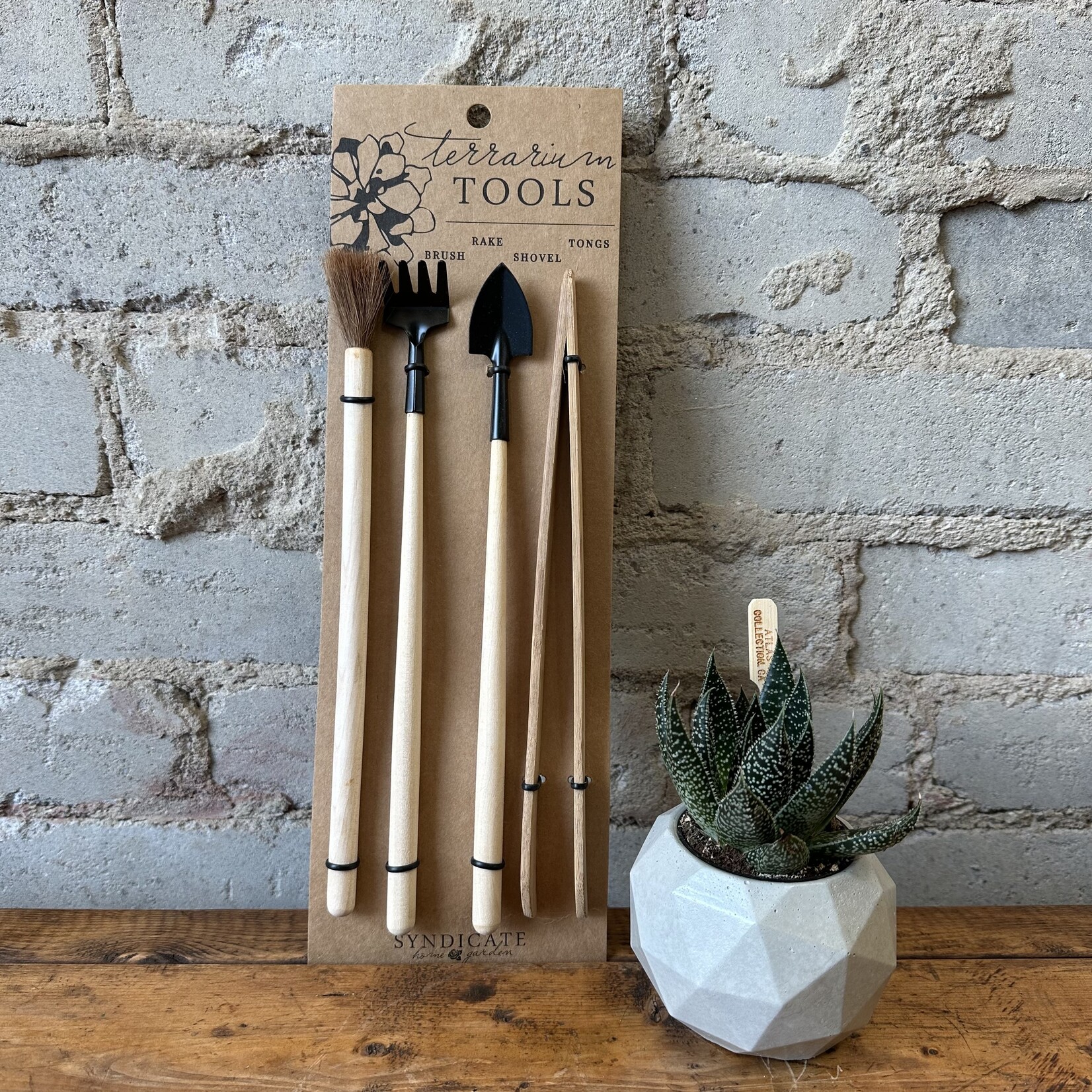 Terrarium Tools