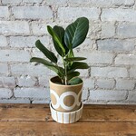Assorted Pots Colbourne Pot (fits 4.5")