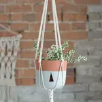 Homebody Collective: Macrame Hanger (Cindy)