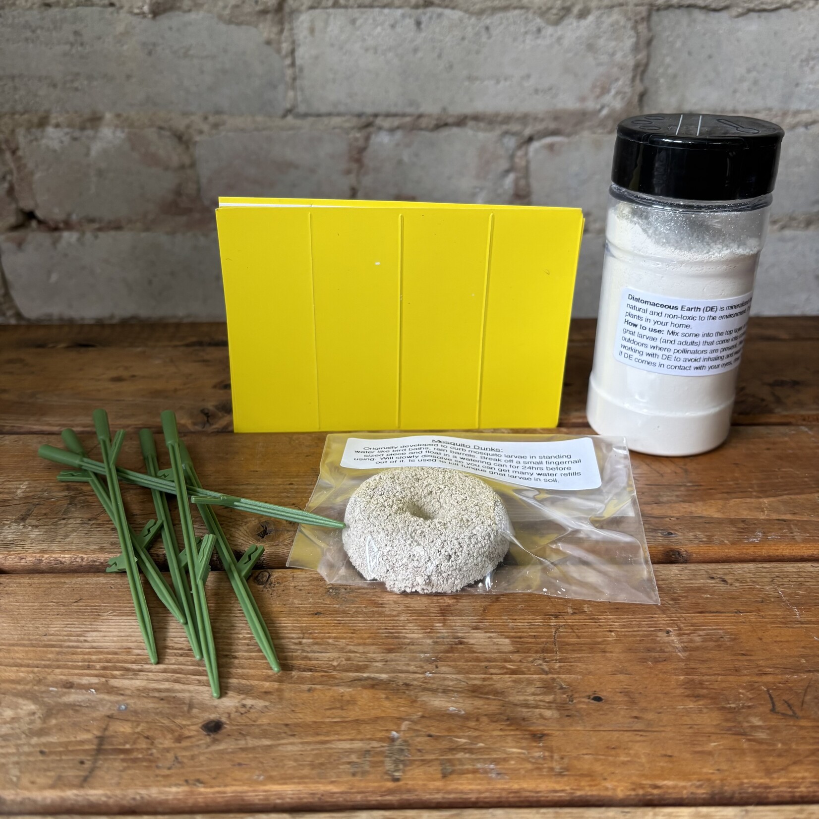 Fungus Gnat Battle Kit