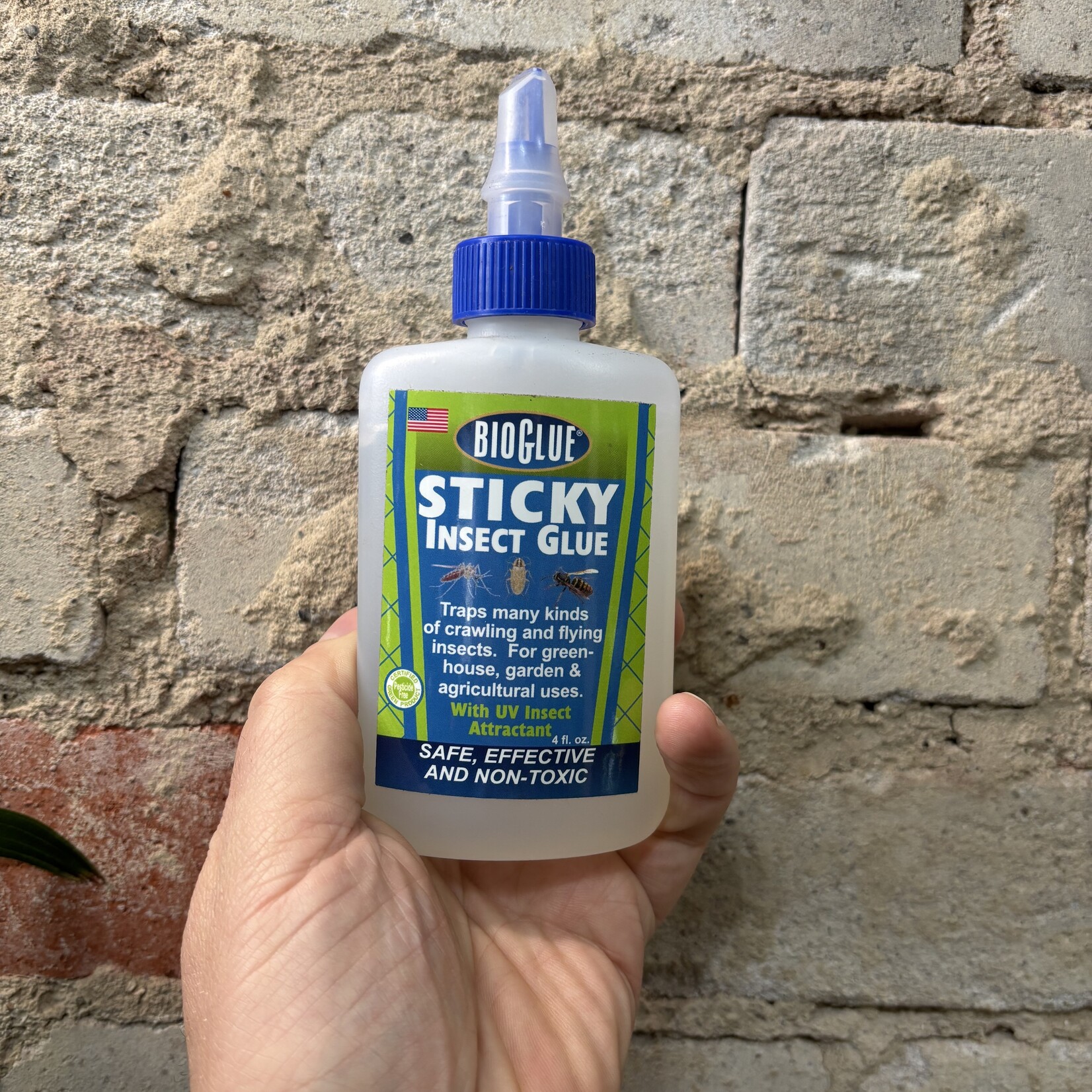 Gnat Glue