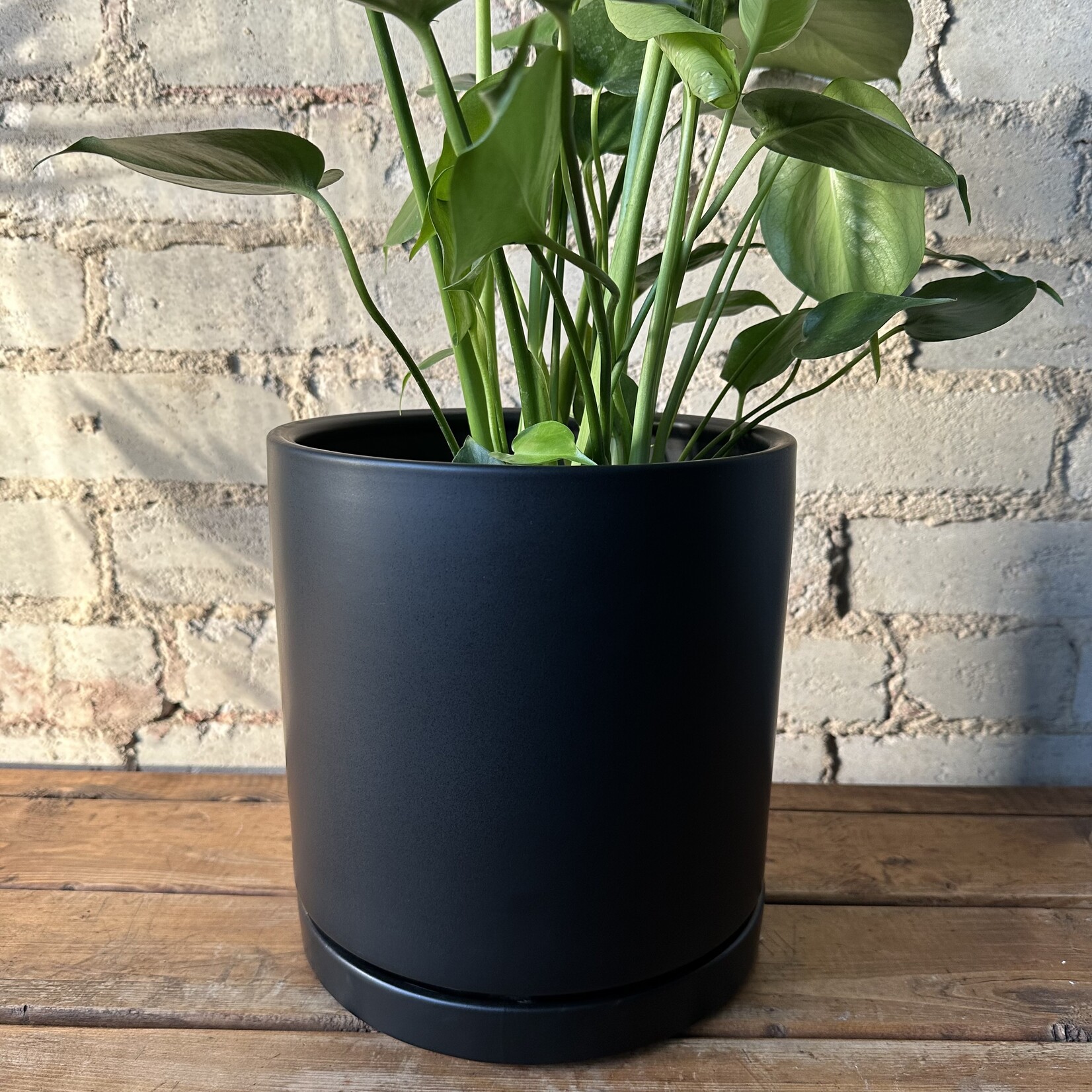 Momma Pots - Black 8.25"