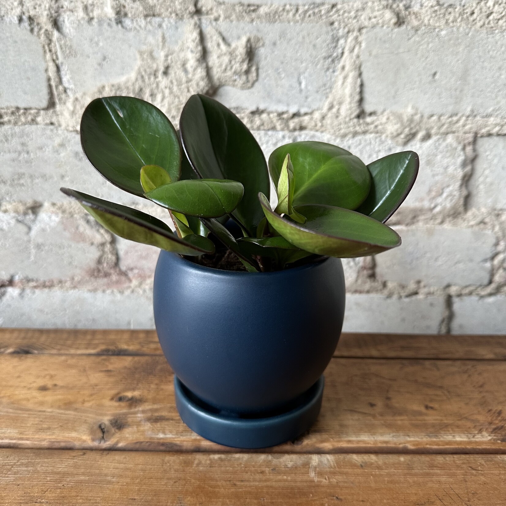 Momma Pots BOLLE 4” - Midnight