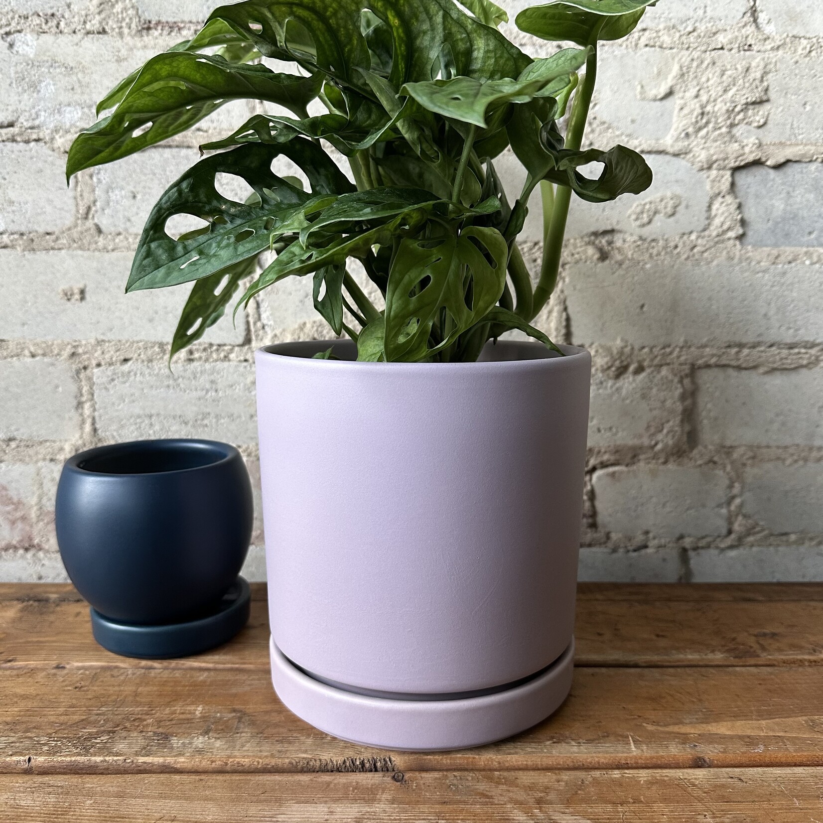 Momma Pots - Lavender 6.5"