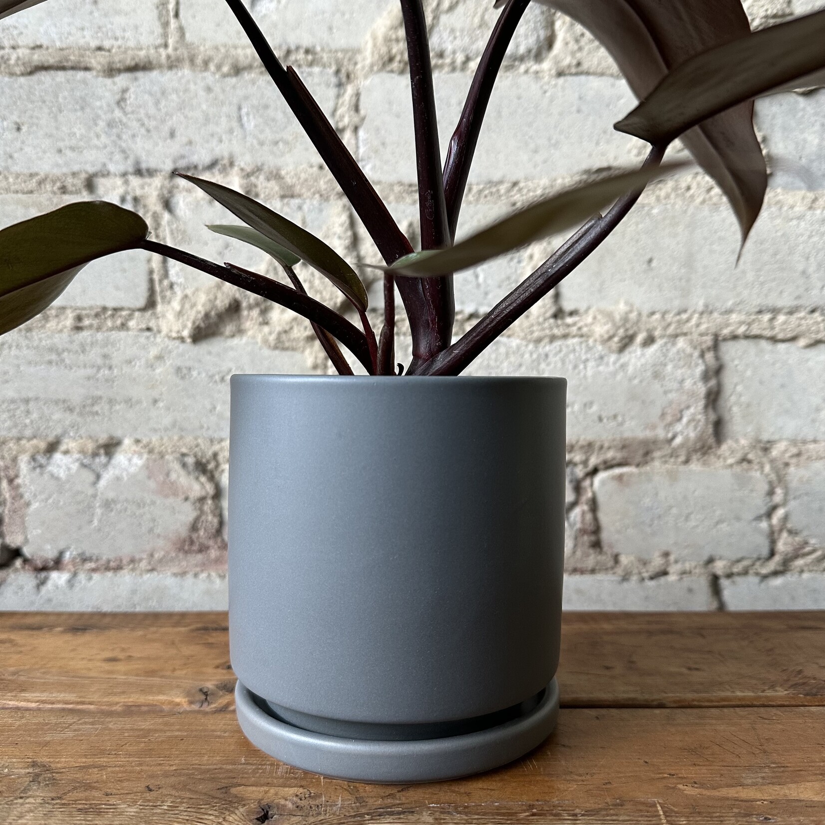 Momma Pots - Granite 4.5"
