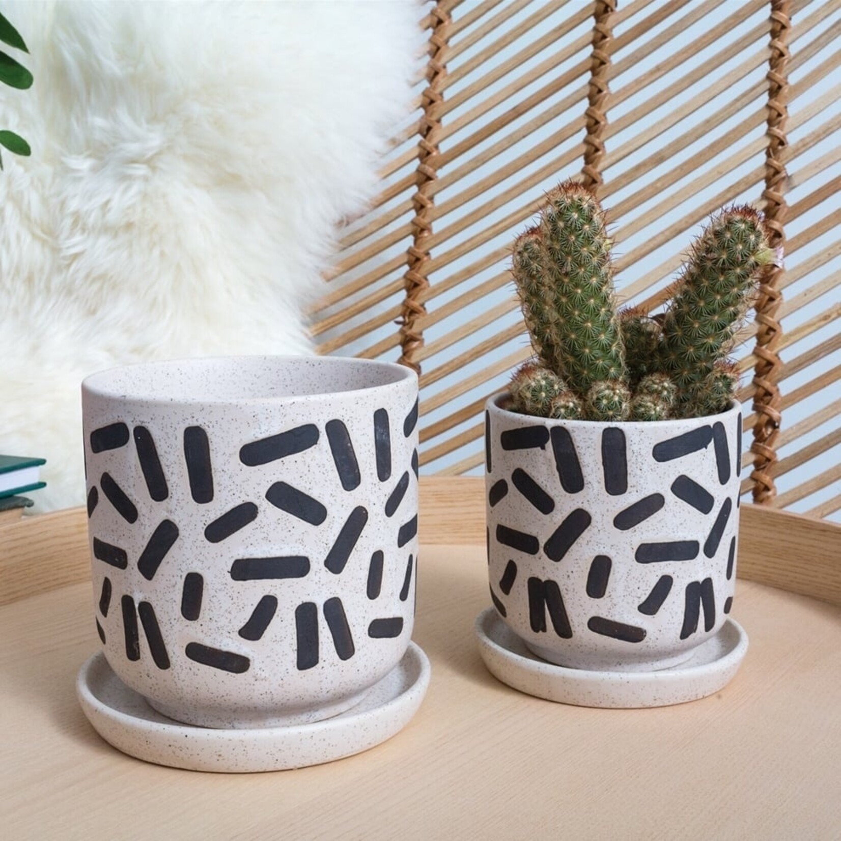 Assorted Pots Sundae Pot Black (fits 4")