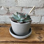 Kanso Mini Pot with saucer (fits 2.5") Grey