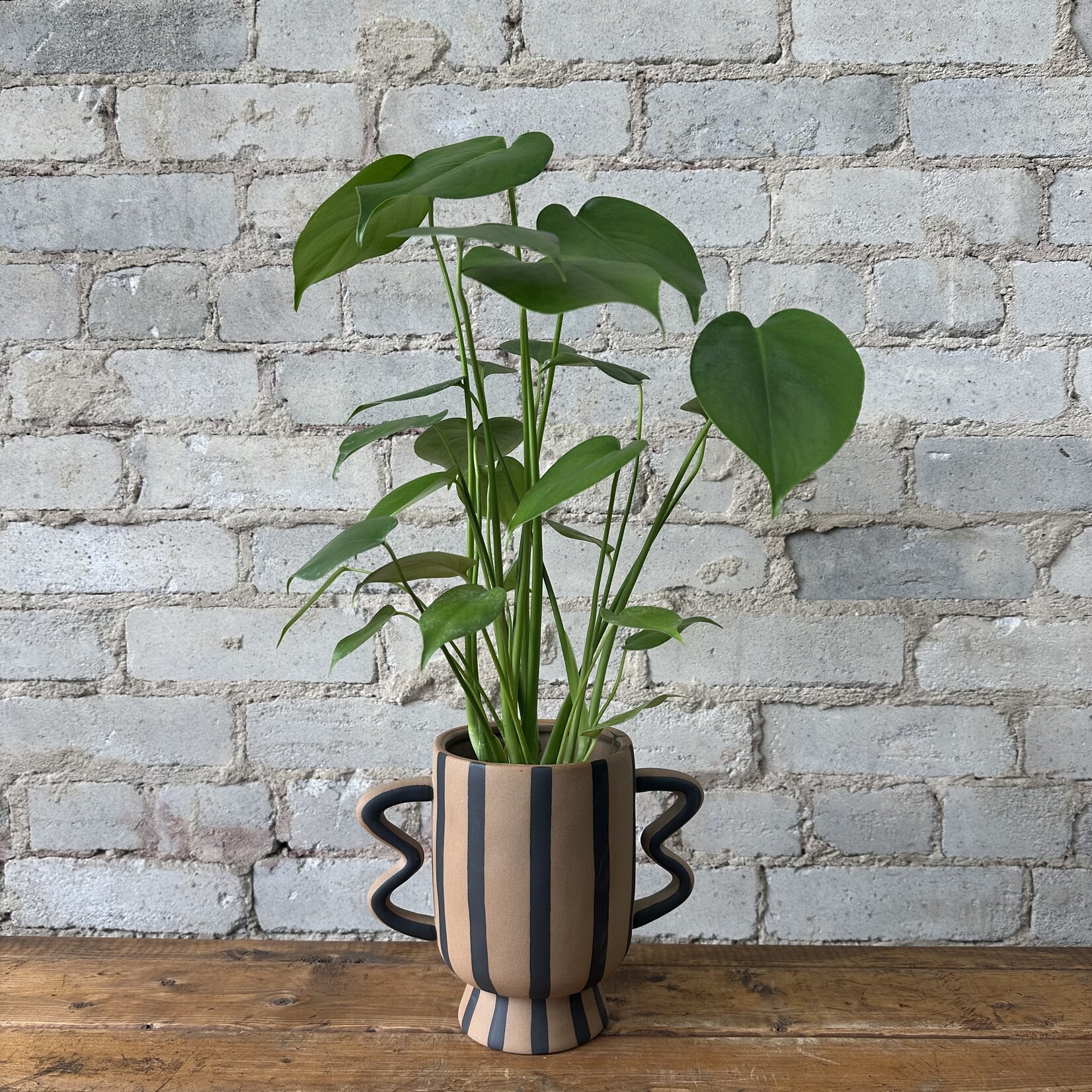 Akimbo Pot Brown (fits 4")