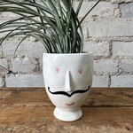 Assorted Pots Mustache Pot (fits 3")