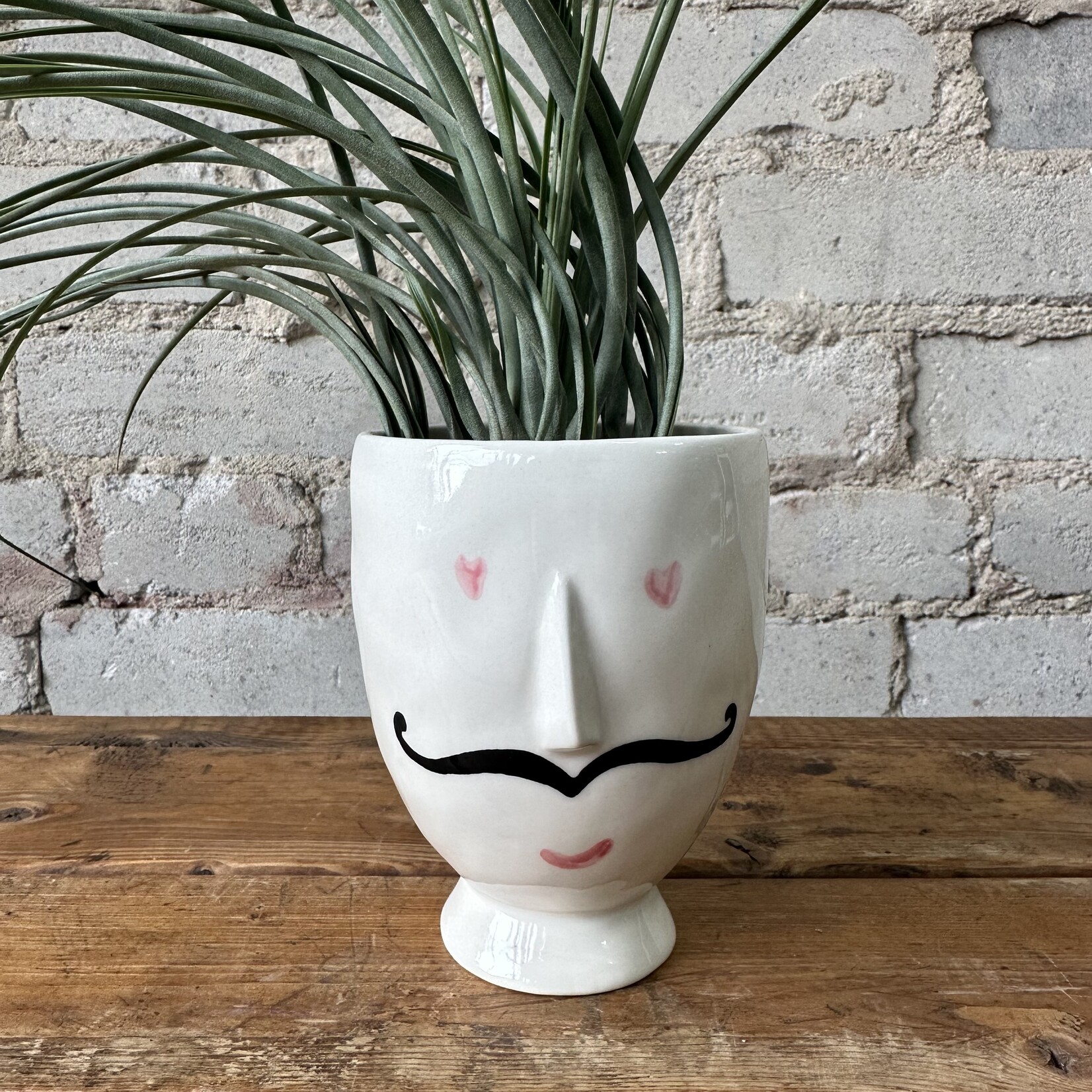 Assorted Pots Mustache Pot (fits 3")