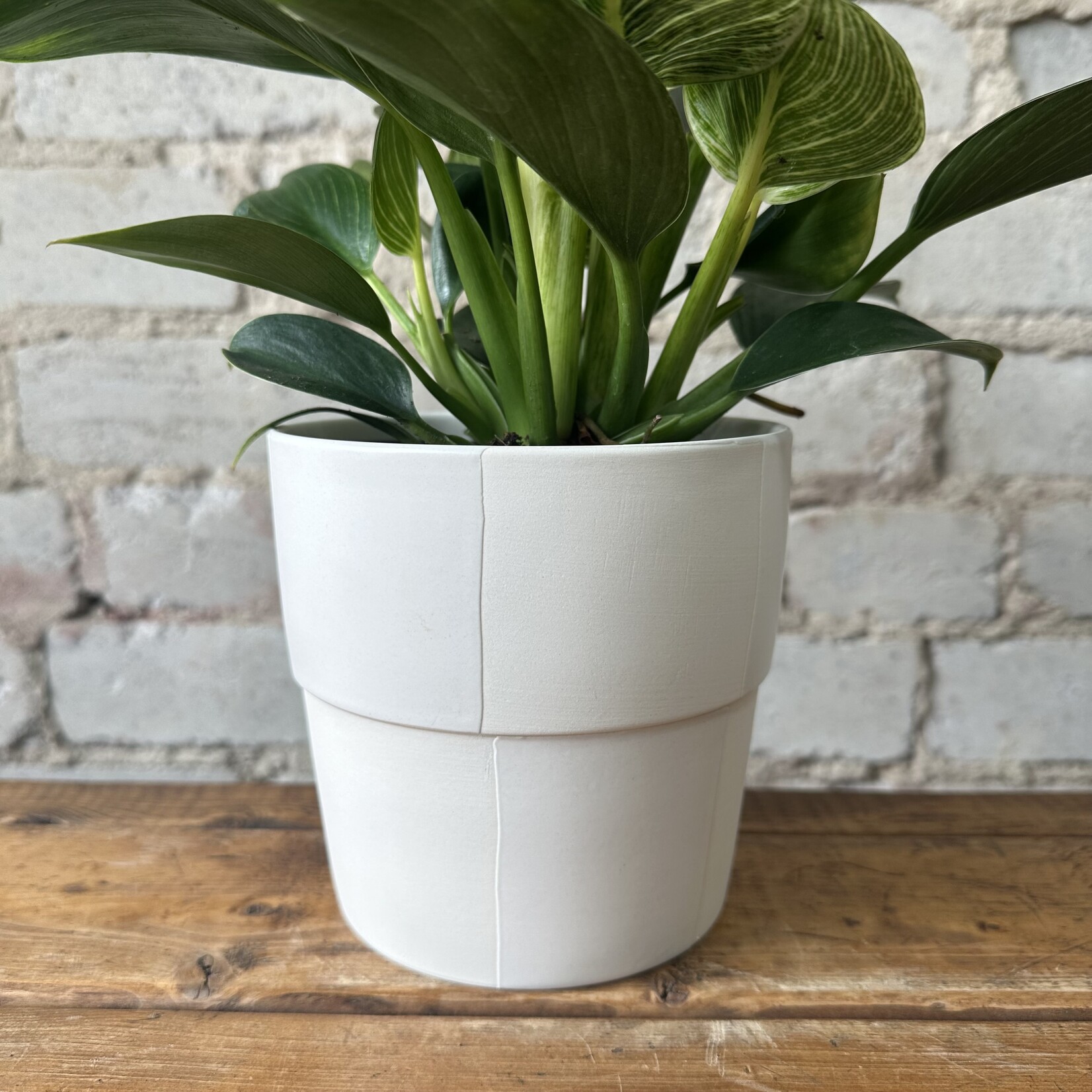 Assorted Pots Checkerboard Pot Cream (fits 4.5”)