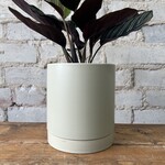 Romey Pot Tan (fits 5")