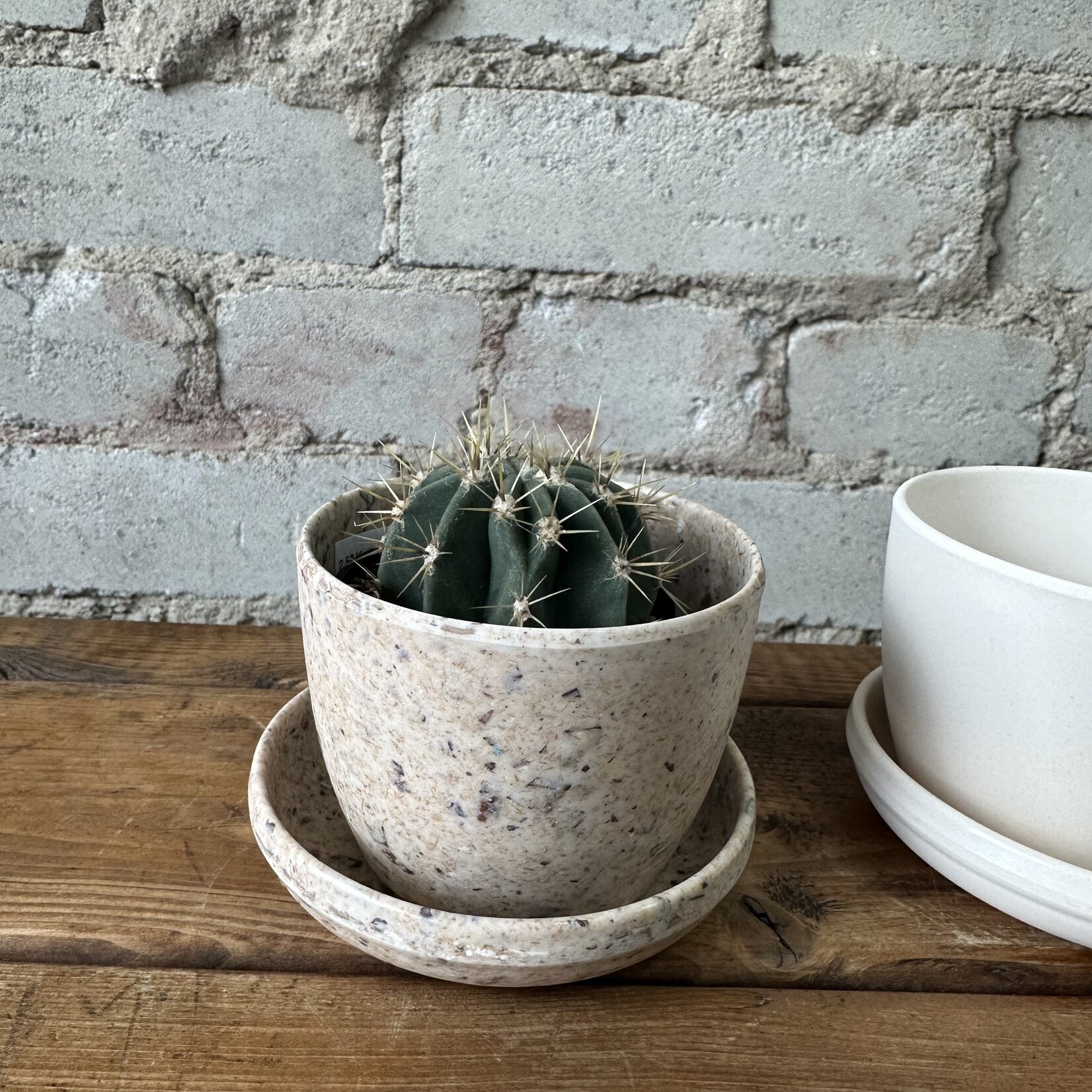 Kanso Mini Pot with saucer (fits 2.5") Rice Husk