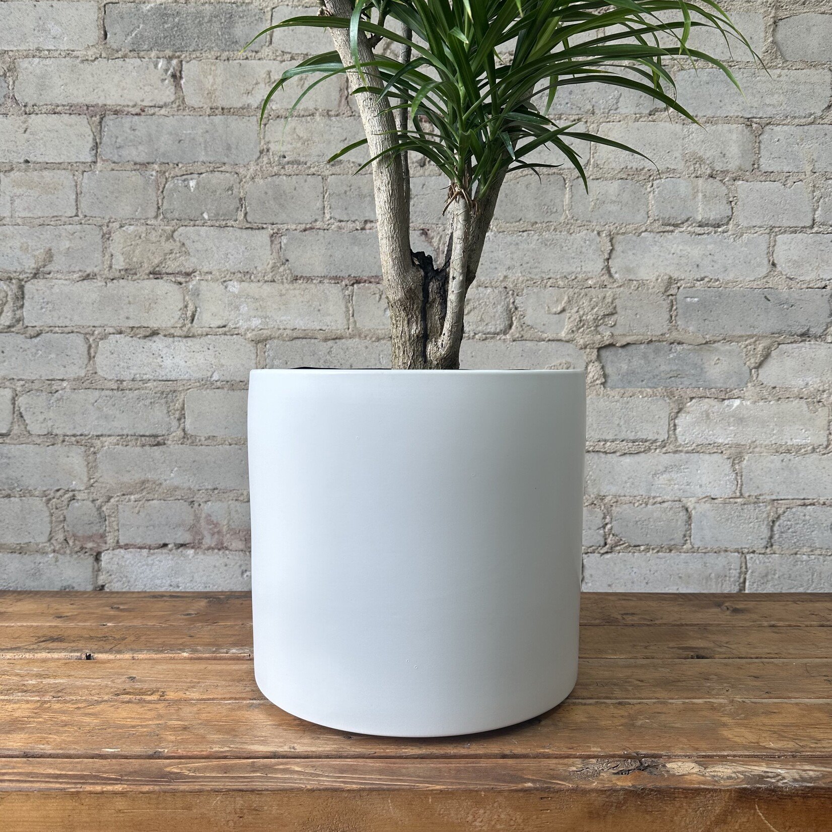 Assorted Pots Atlas Pot (fits 10") White