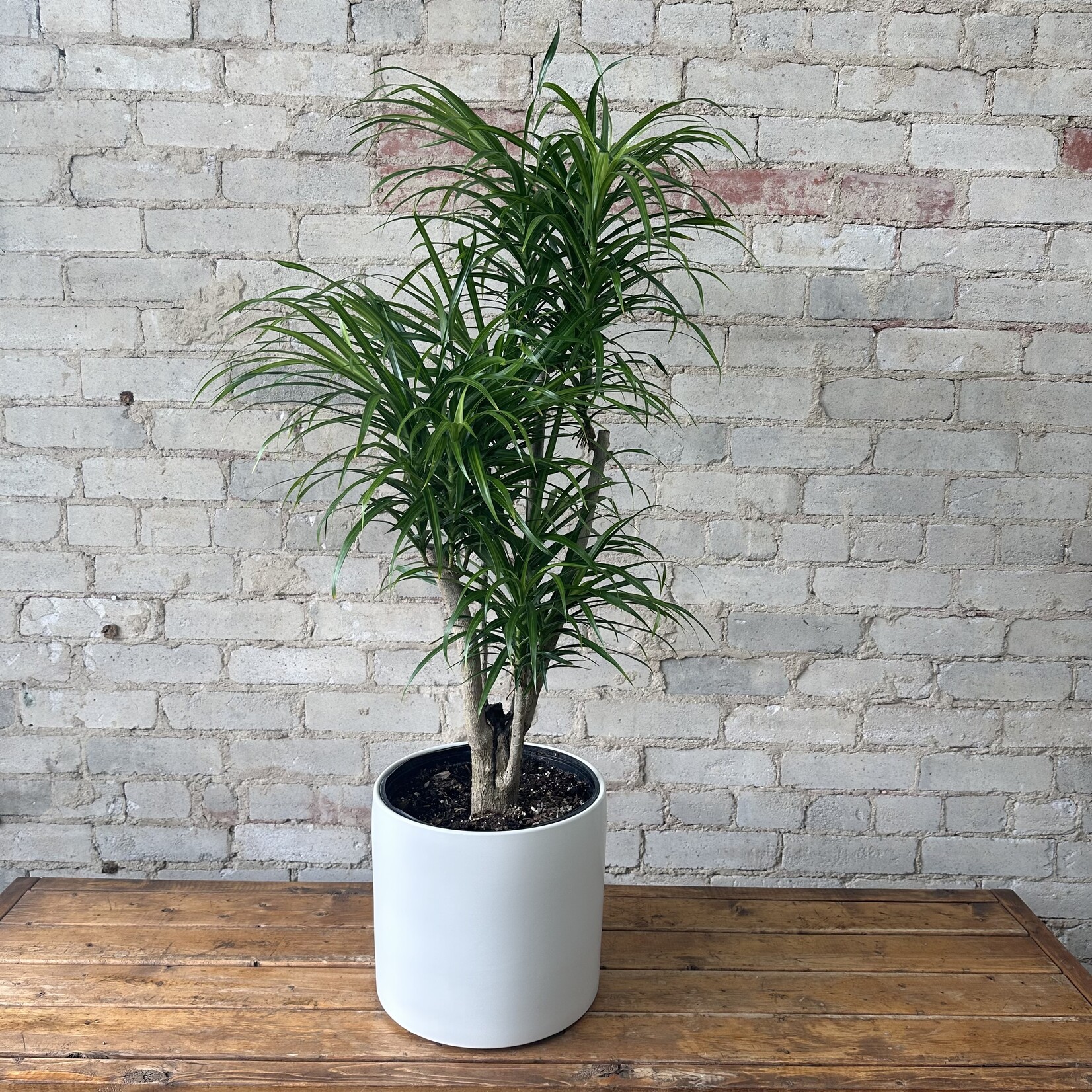 Atlas Pot (fits 10") White