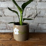 Nightshift Ceramics Nightshift Ceramics - White Daisy 5"