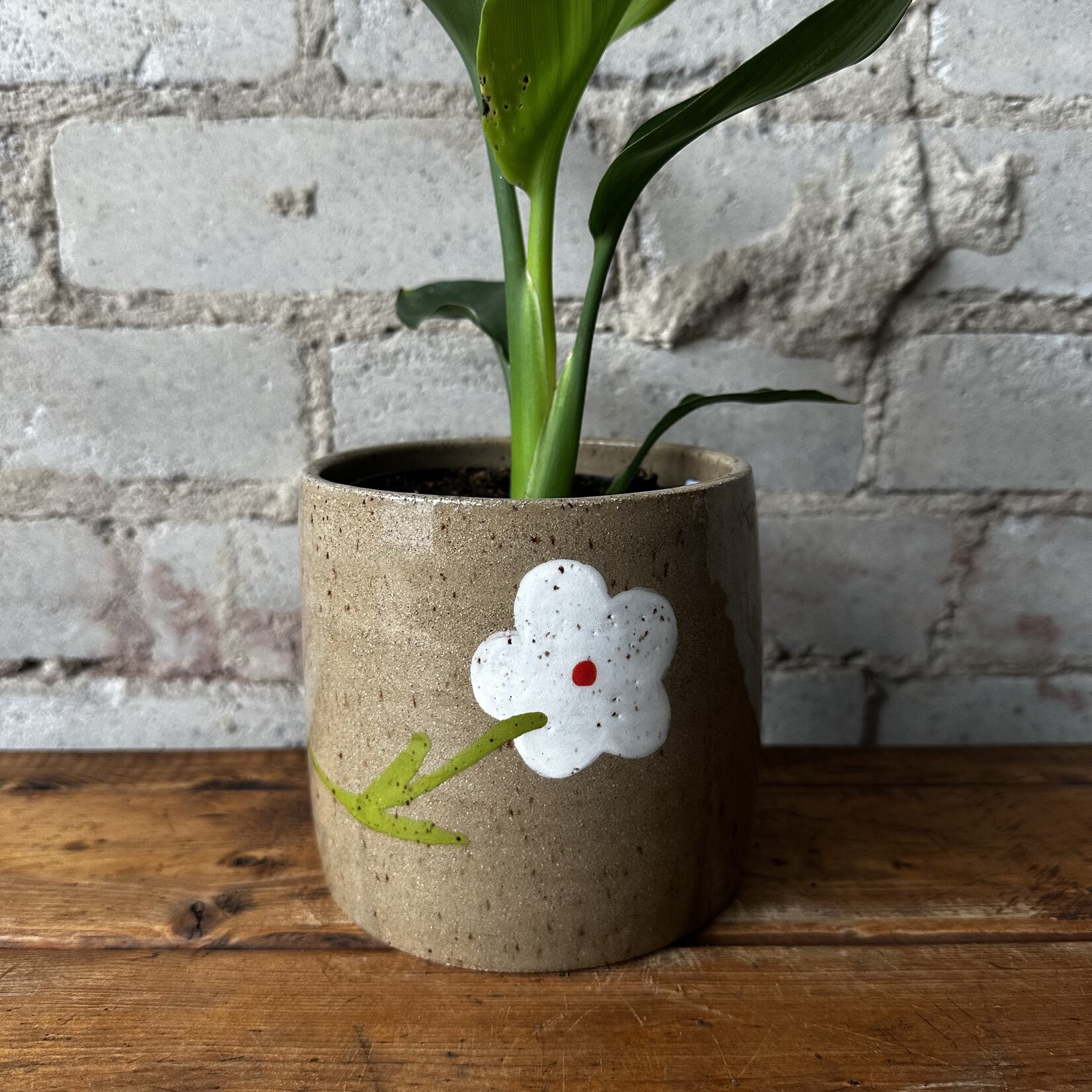 Nightshift Ceramics Nightshift Ceramics - White Daisy 5"
