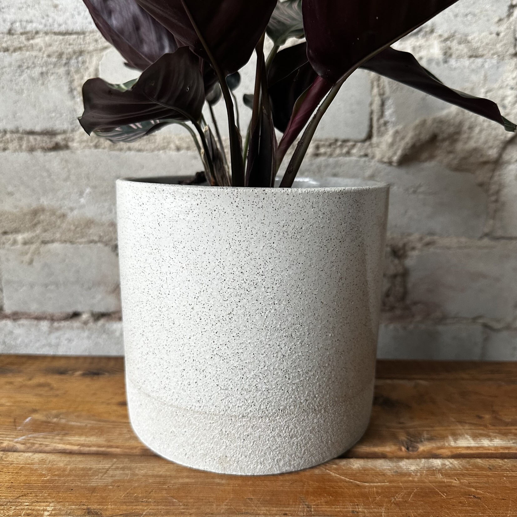 Downey Pot (fits 5")