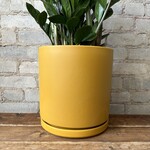 Momma Pots - Mustard 12.5"