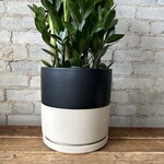 Momma Pots - Top Half Black 12.5"