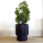 Common House - Pedestal Pot - Black (fits 11")