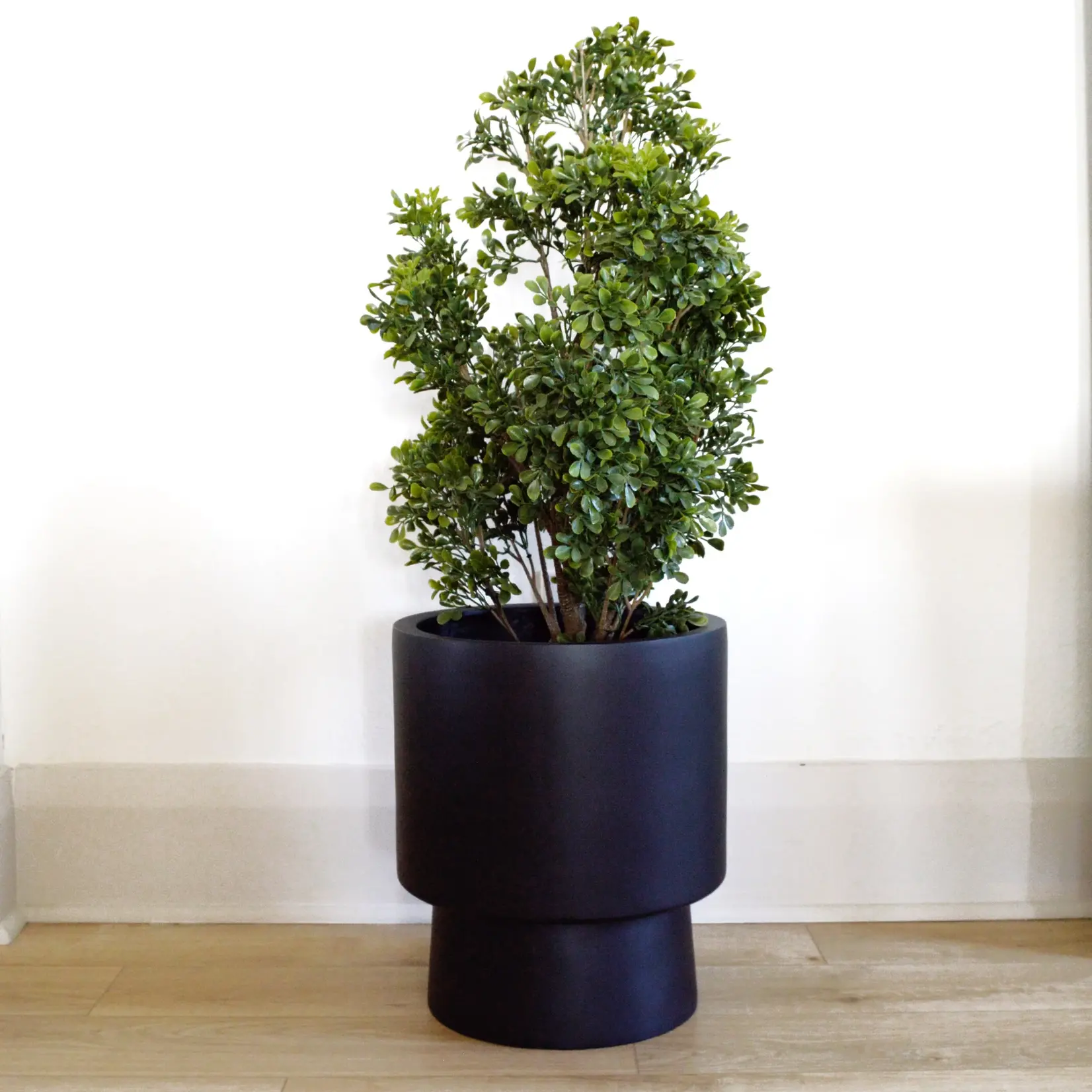 Common House - Pedestal Pot - Black (fits 11")
