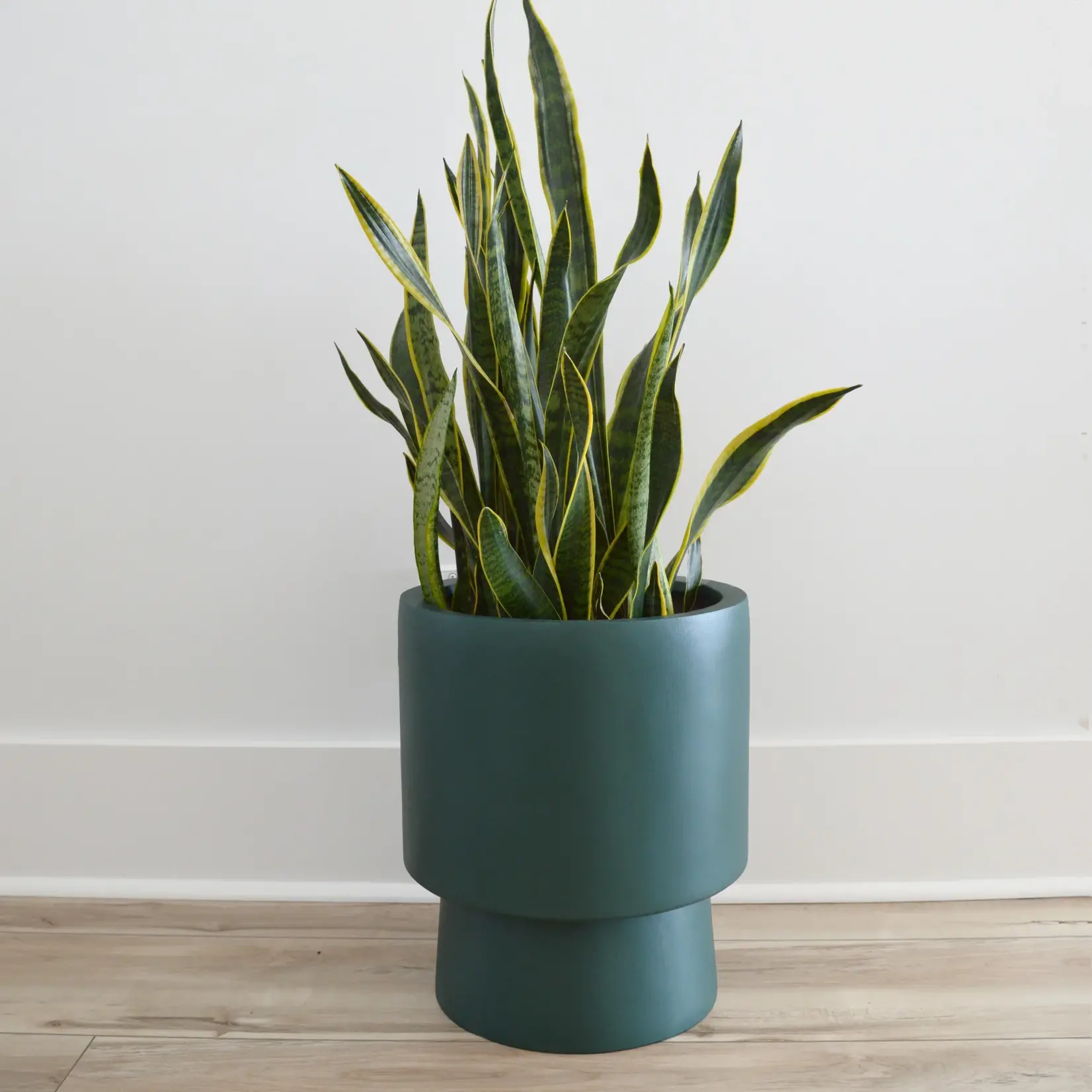 Common House - Pedestal Pot - Green (fits 11")