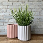 Hudson & Oak Pots (Vancouver)