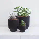 Conifer Homewares 3D Printed Pots (Vancouver)