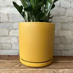 Momma Pots ~ 10"