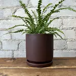 Momma Pots ~ 4"