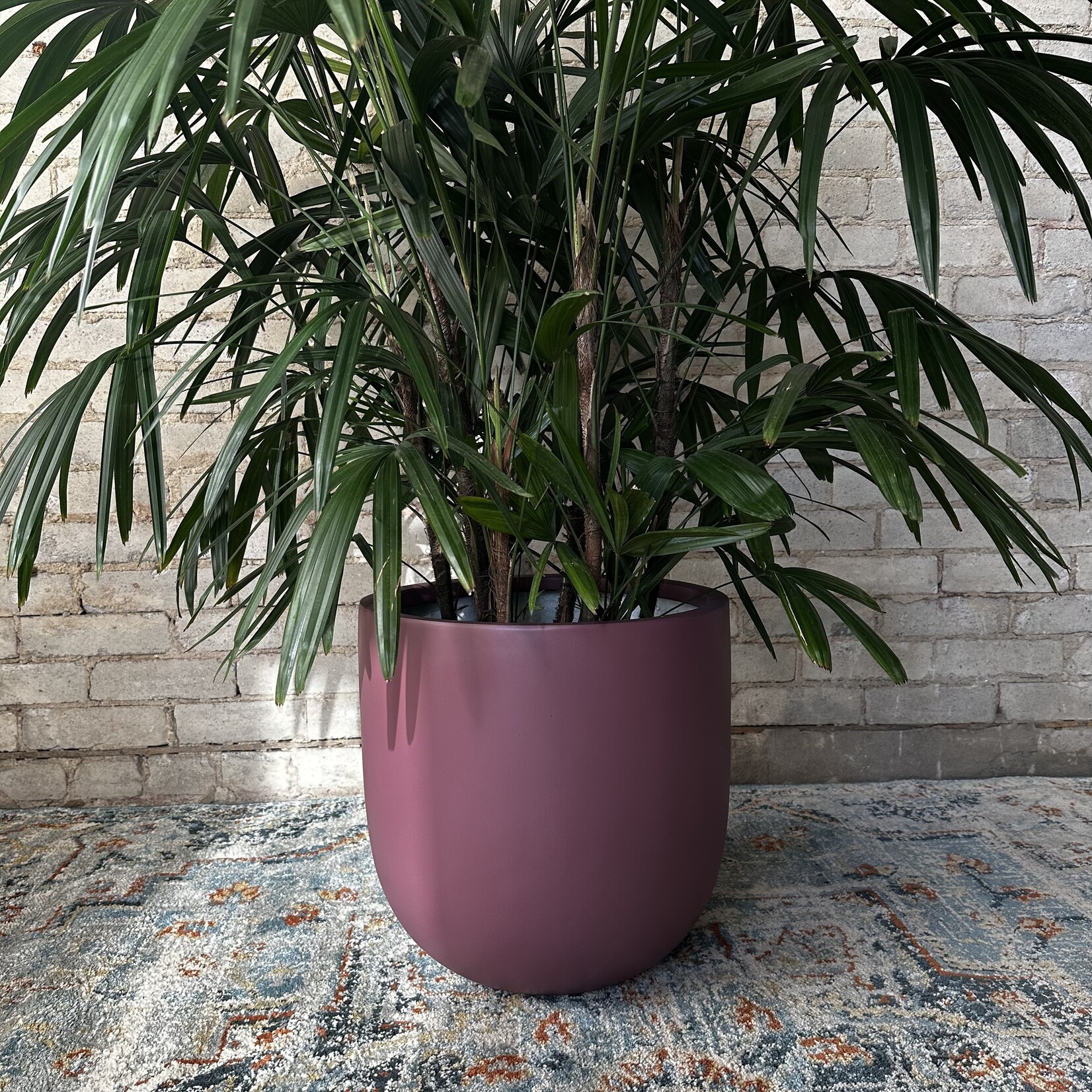 Common House Common House - Essential Pot Wine XL (fits 14")