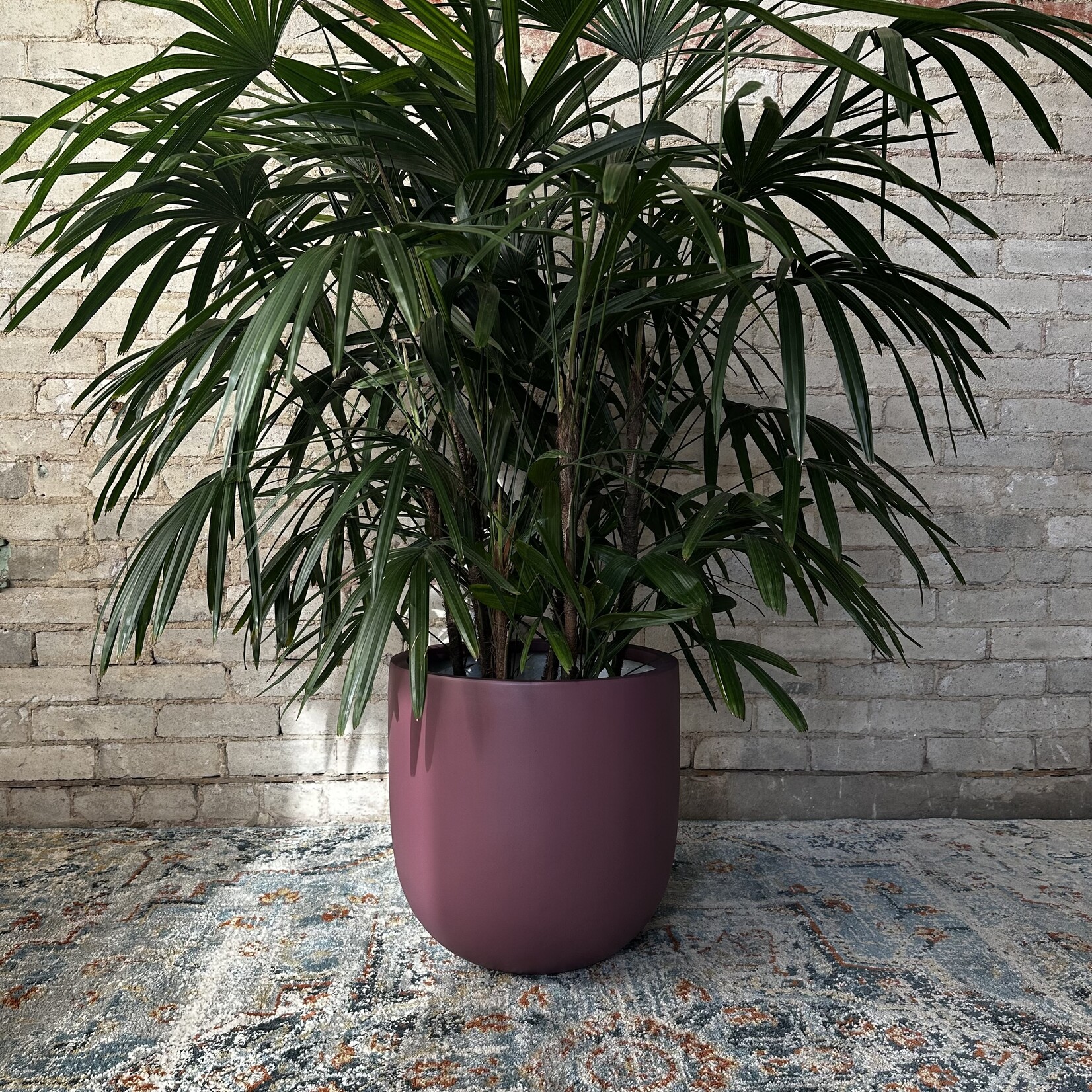 Common House Common House - Essential Pot Wine XL (fits 14")