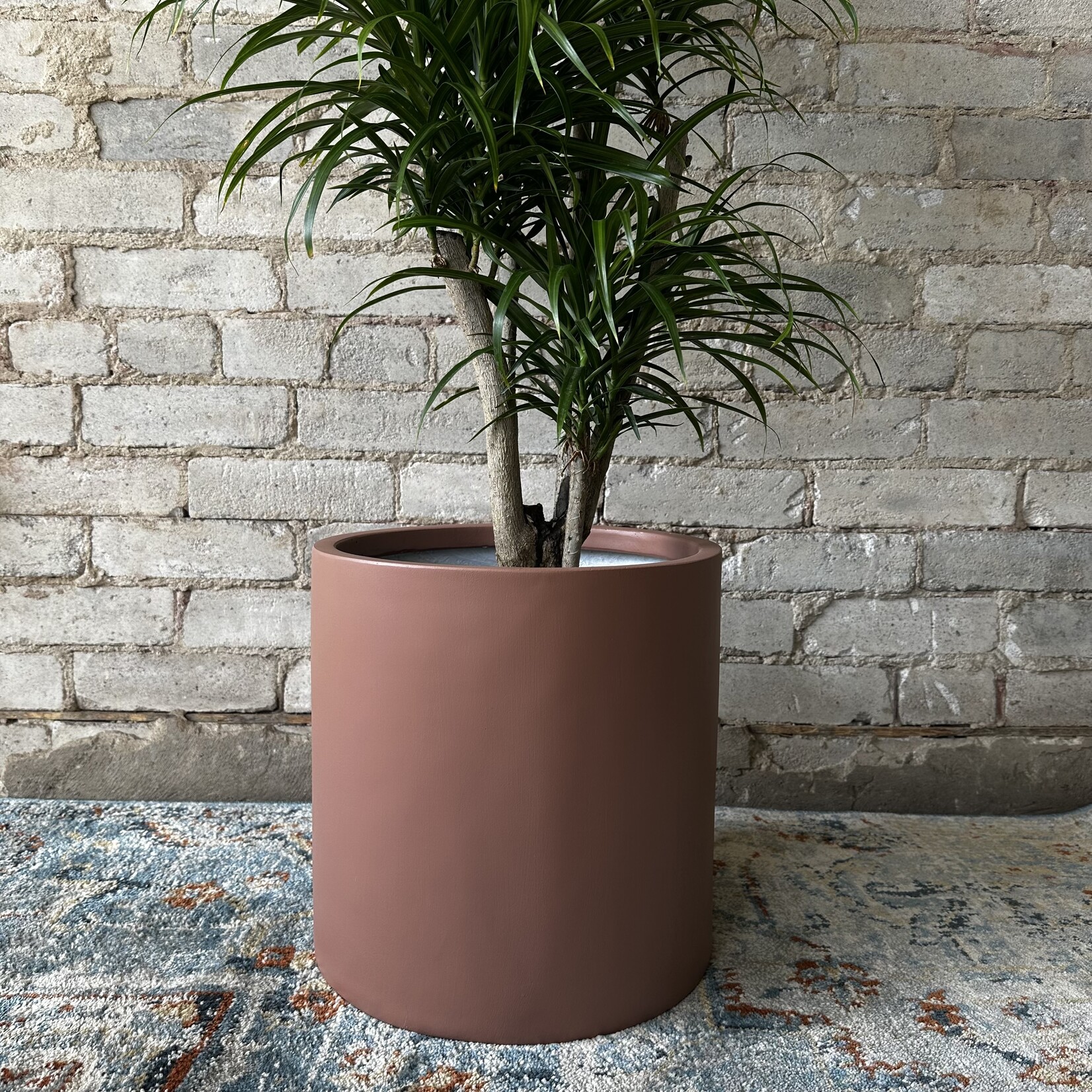Common House - Cylinder Pot Essential Desert Rose Large (fits 10")