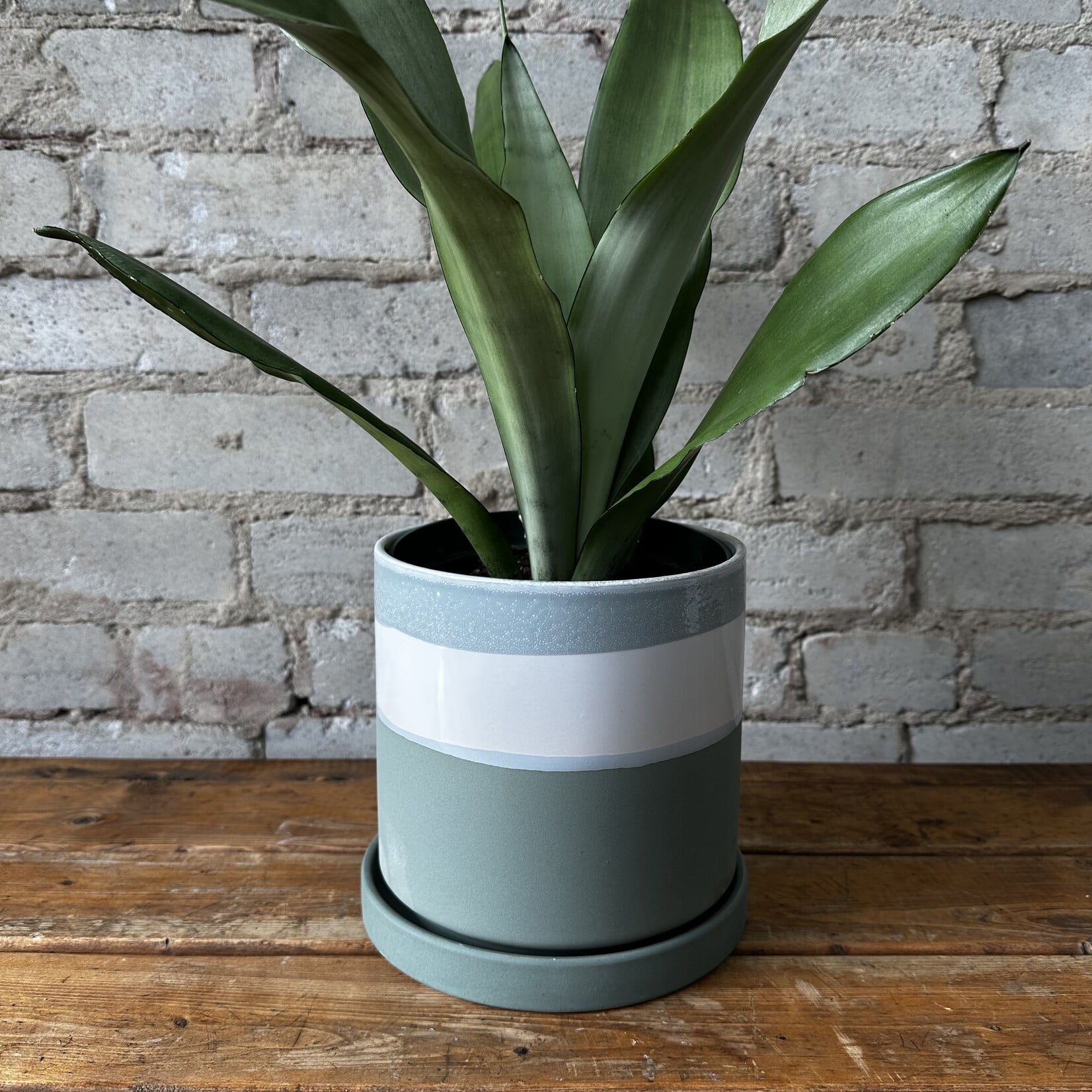 Greer Pot (fits 6")