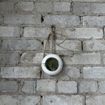 Golem Designs: Hanging Air Plant Loop Speckled (with rope)