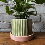 Melancia Pot (fits 5")