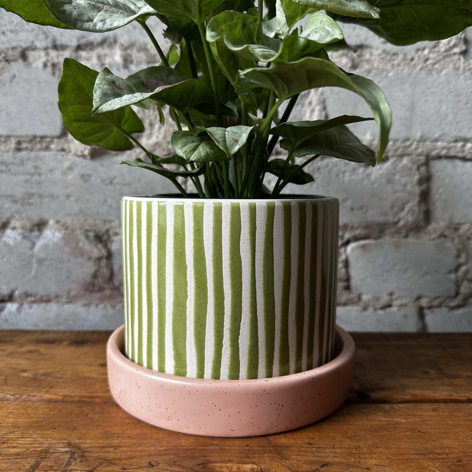 Melancia Pot (fits 5")