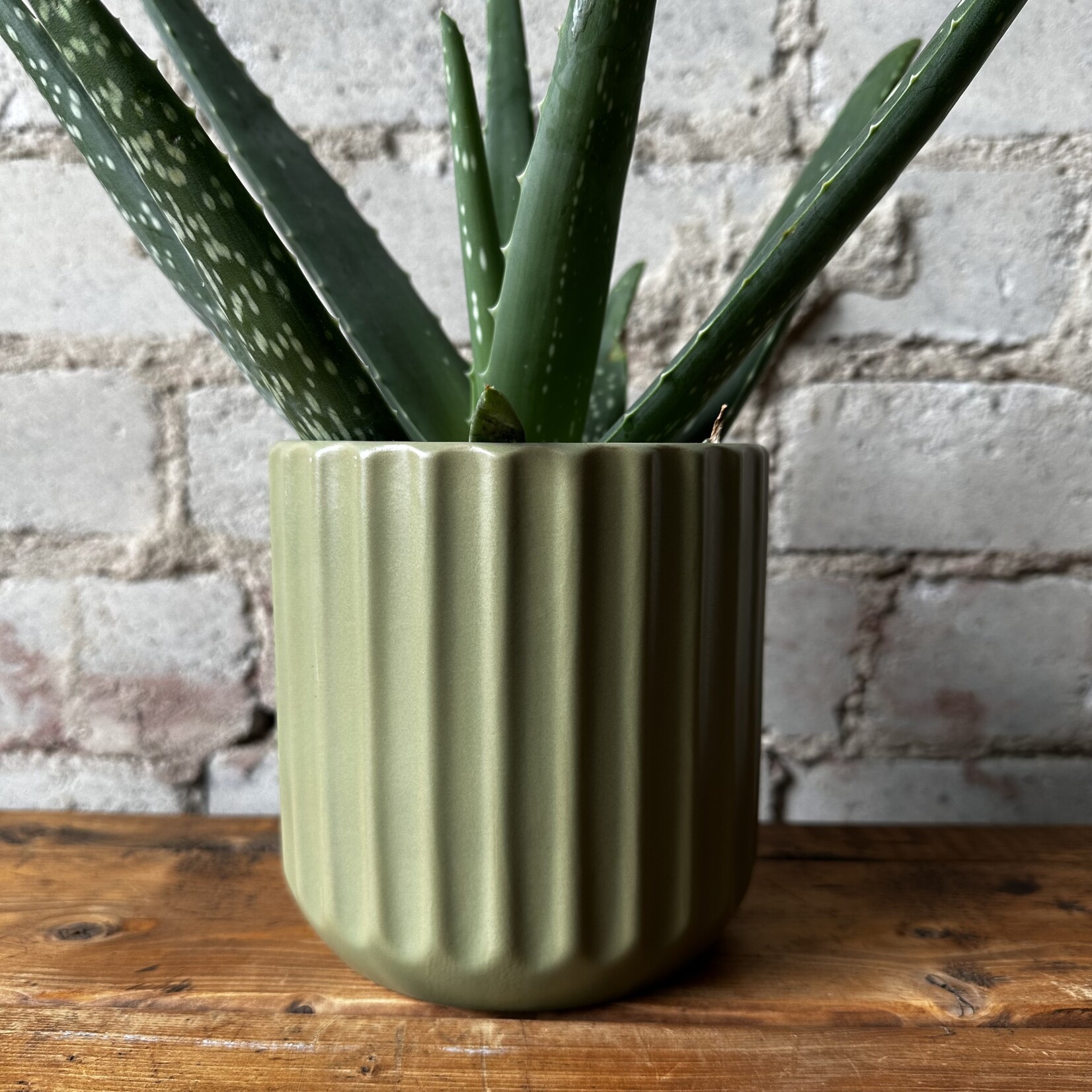Assorted Pots Beam Pot (fits 4") Green