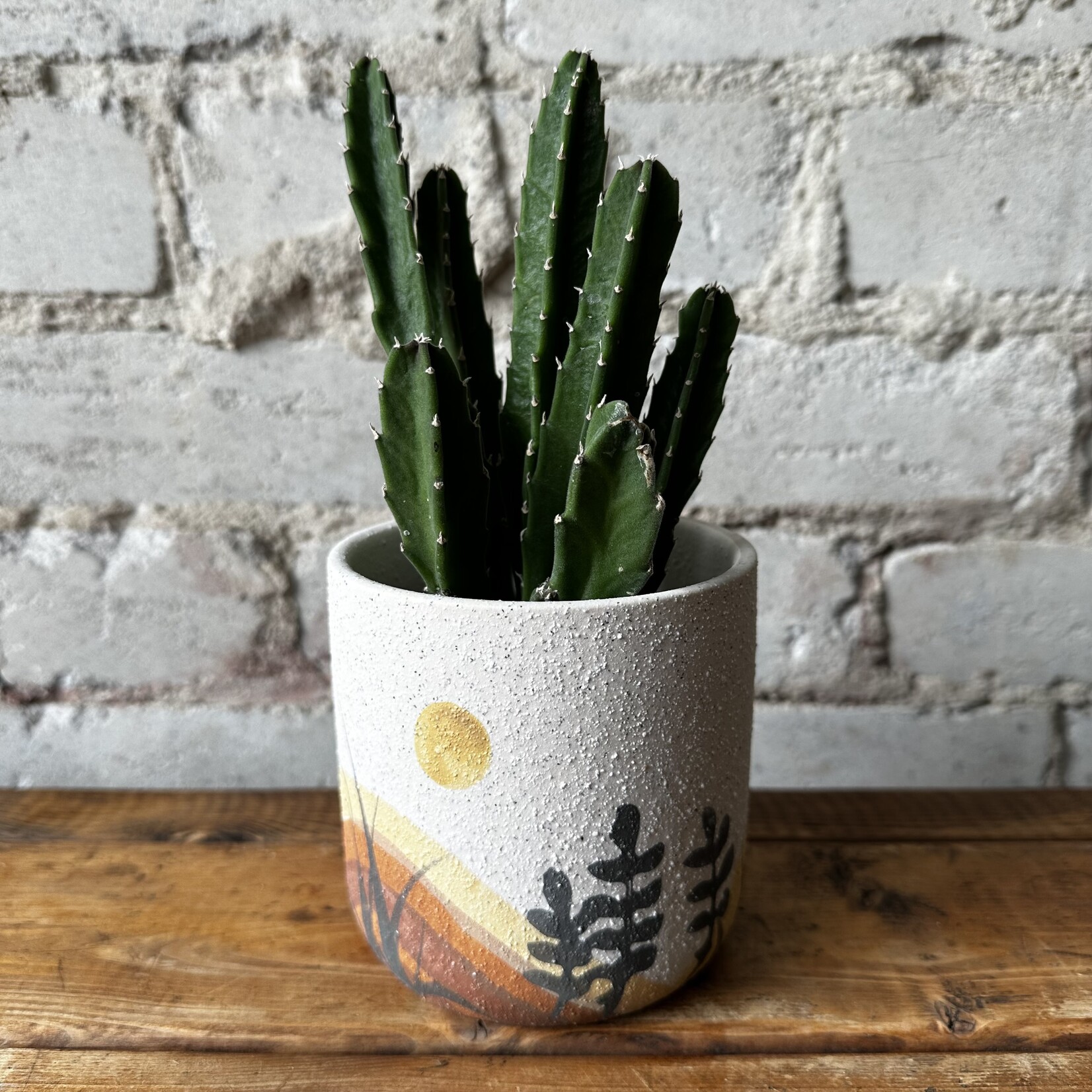 Sunset Pot (fits 3.5")