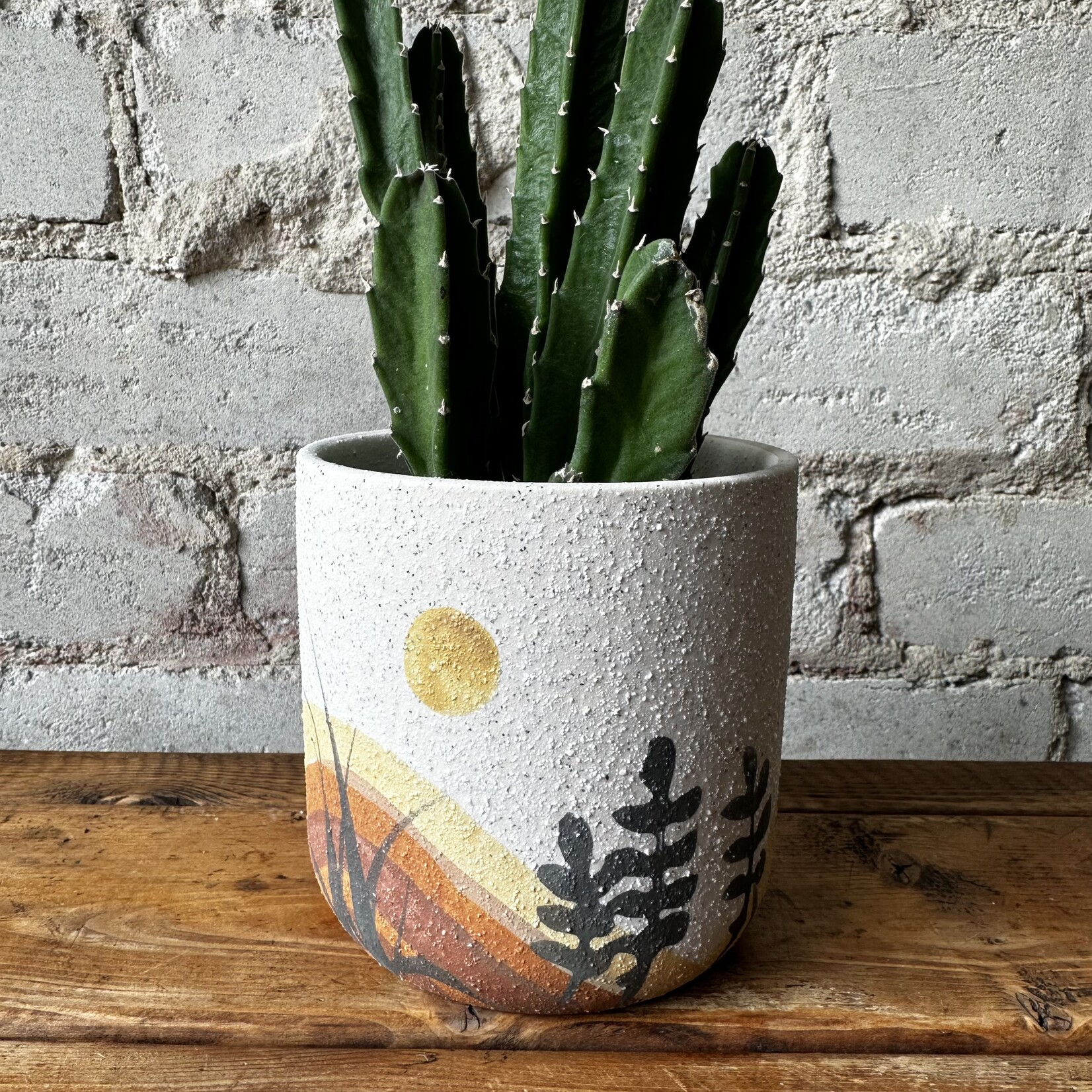 Assorted Pots Sunset Pot (fits 3.5")