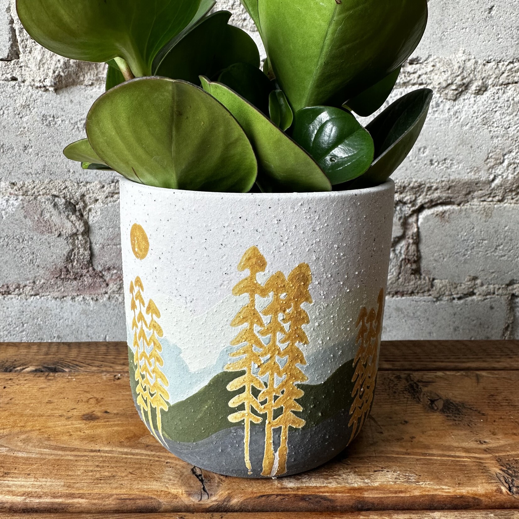 Forest Pot (fits 3.5")