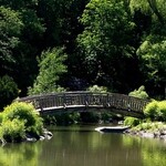 Get Outside: Plant Field Trips For The Ever Curious