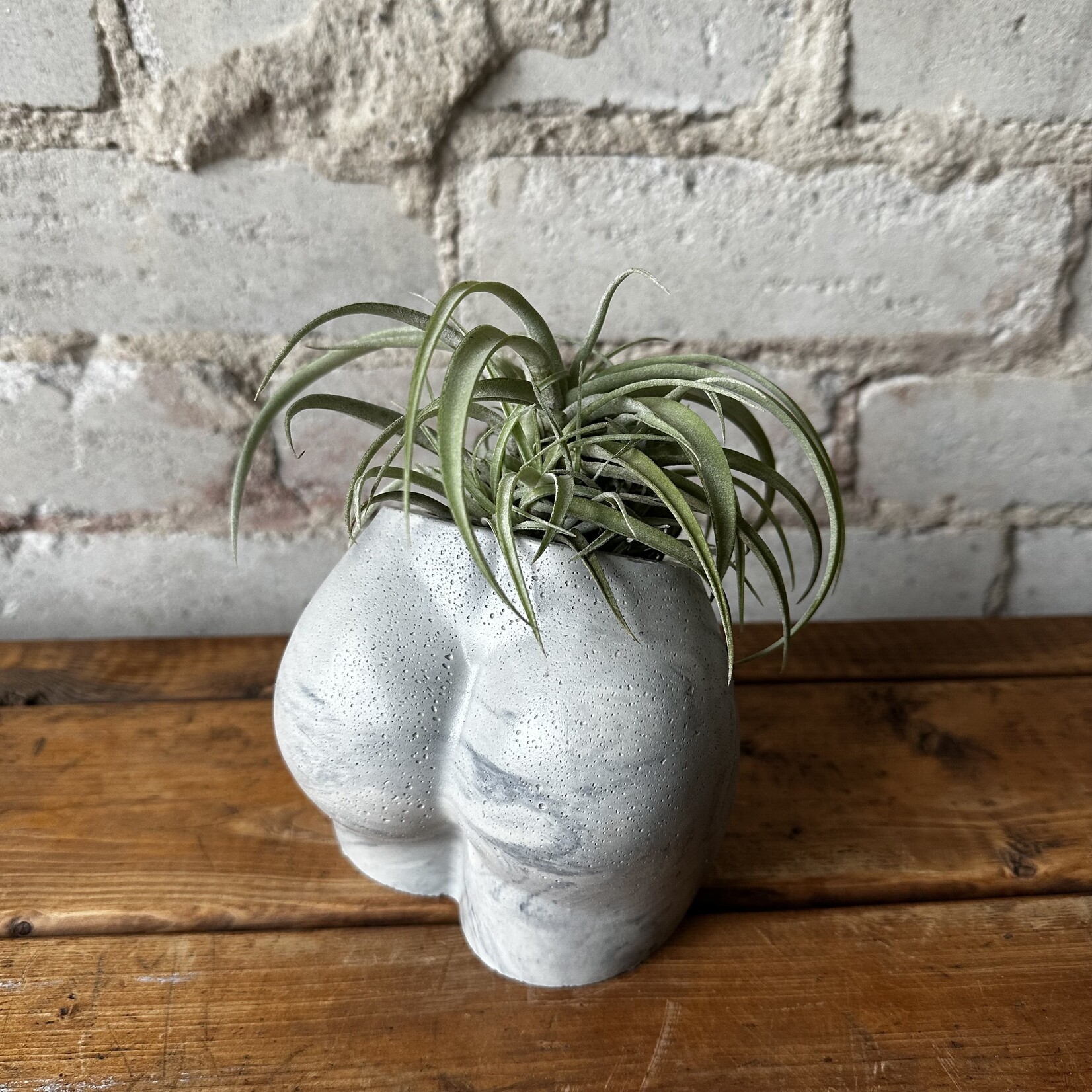 Homebody Collective: Body Planter (Marbled)
