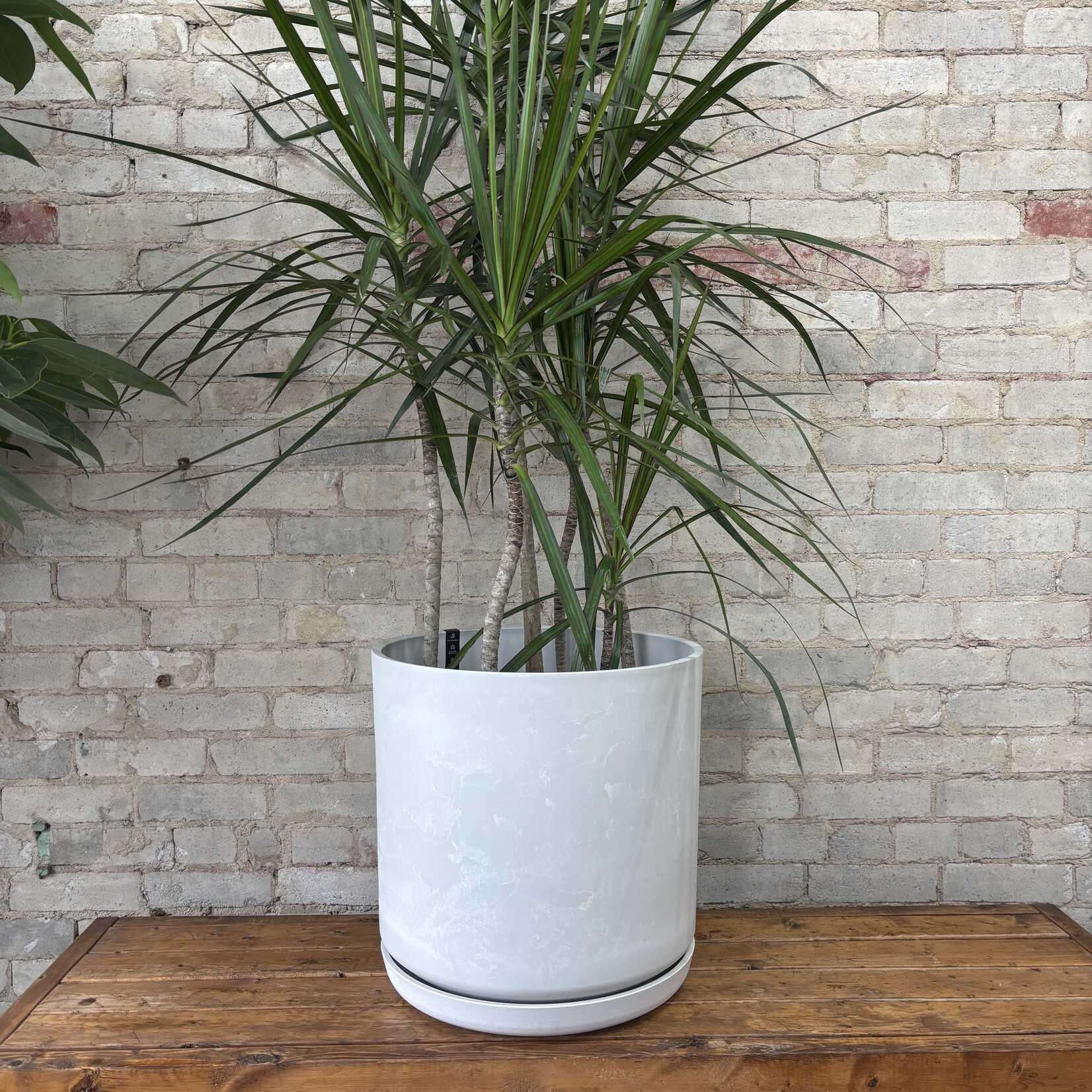 Kanso Designs Upcycled Cylinder Pot with Saucer by Kanso Designs - Stone (fits 15")