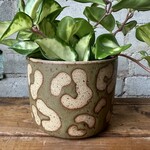 MIMA Ceramics (Toronto)