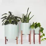 Kelly Built Plant Stands (Calgary)