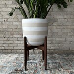 Big Mari Walnut (David & Rau Stand for Tapered Pots)