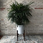 David & Rau Stands Big Cindy Walnut (David & Rau Stand for Cylinder Pots)