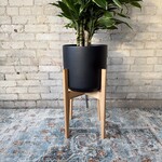 David & Rau Stands Lil' Cindy Maple (David & Rau Stand for Cylinder Pots)